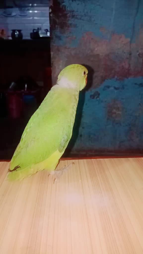 @Aman rajput ਅਮੂ 🤨