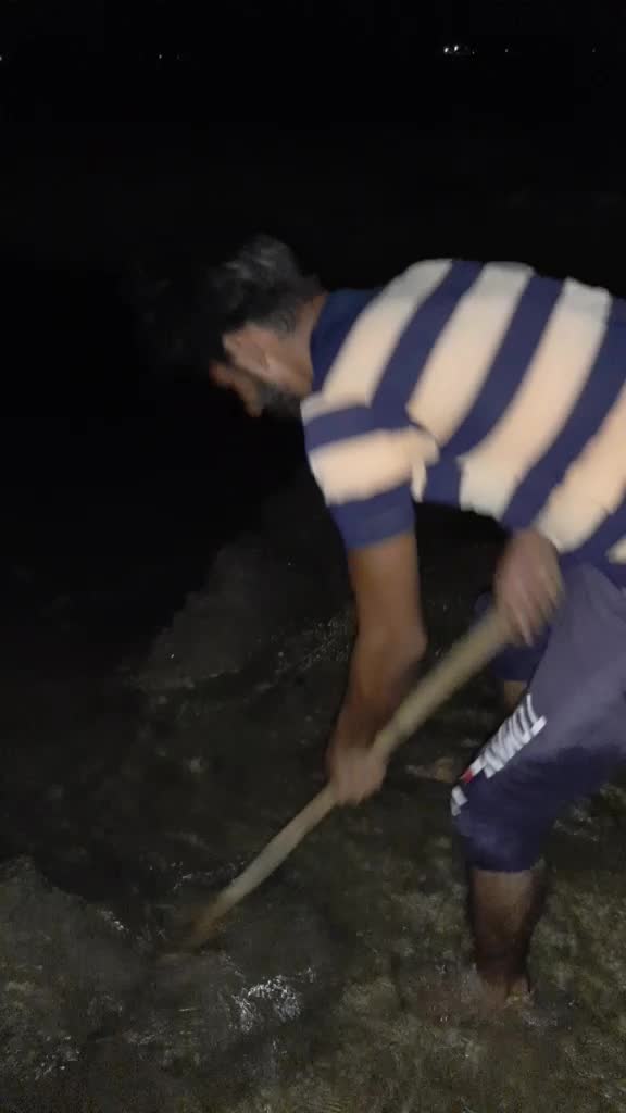 @8437624801