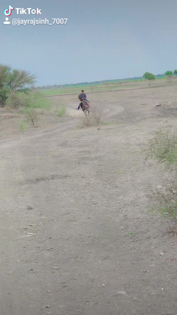 @jayrajsinh_7007
