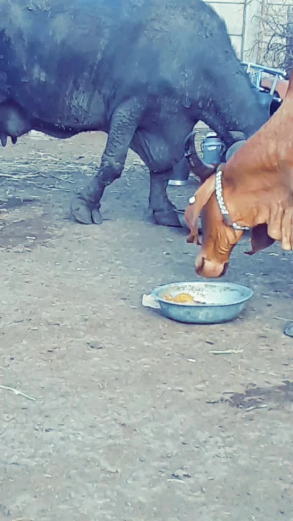 @😈 સભાડ 😈