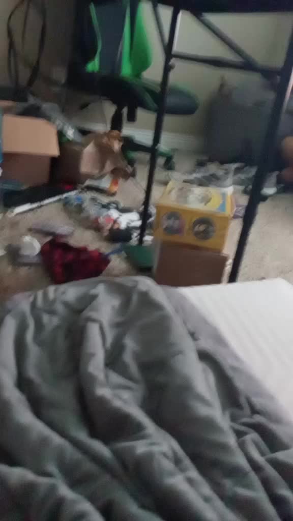 @TheToyFreddyShow