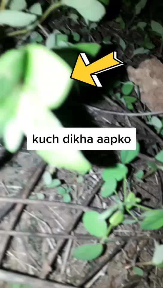 @👑💔 KISHU💔👑