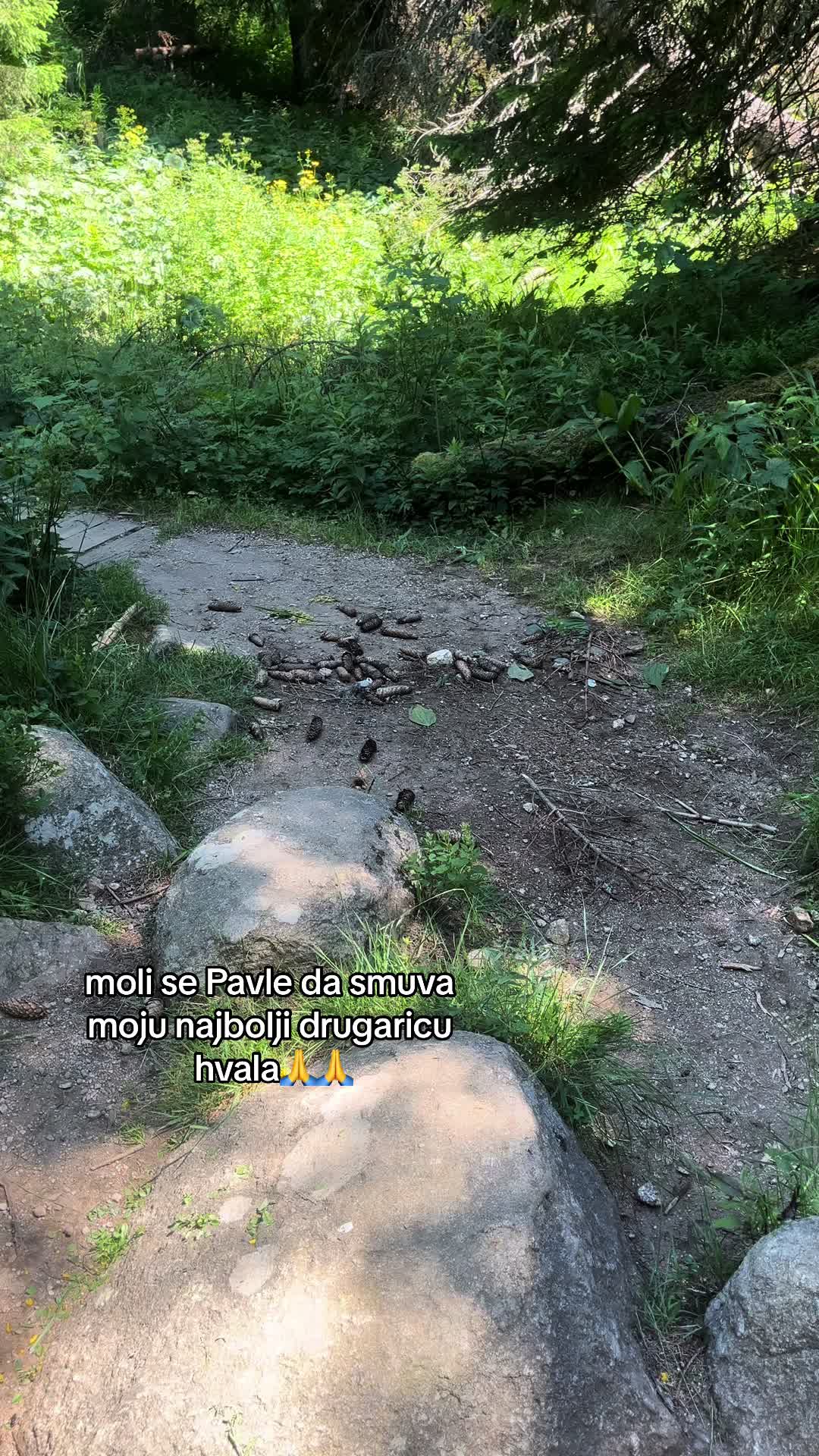 @🫨🫨🫨