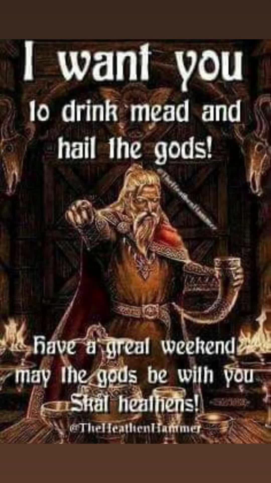 @vikinggododin1