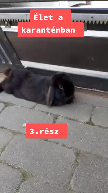 @Szutyok