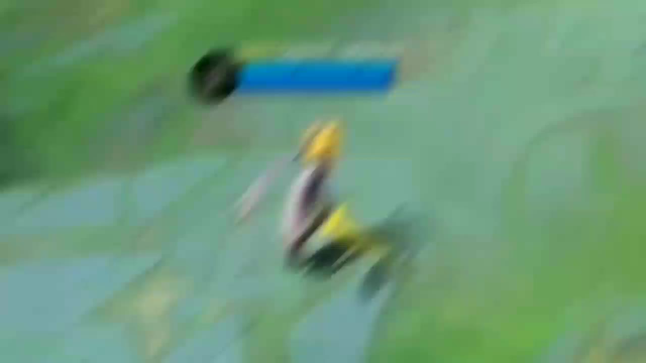 @Berserk00
