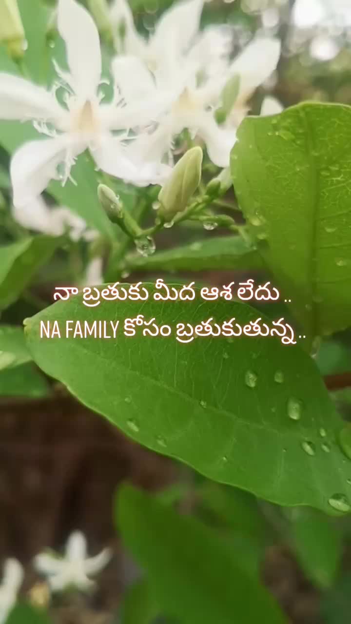 @KANDUKURI gari ABBAI