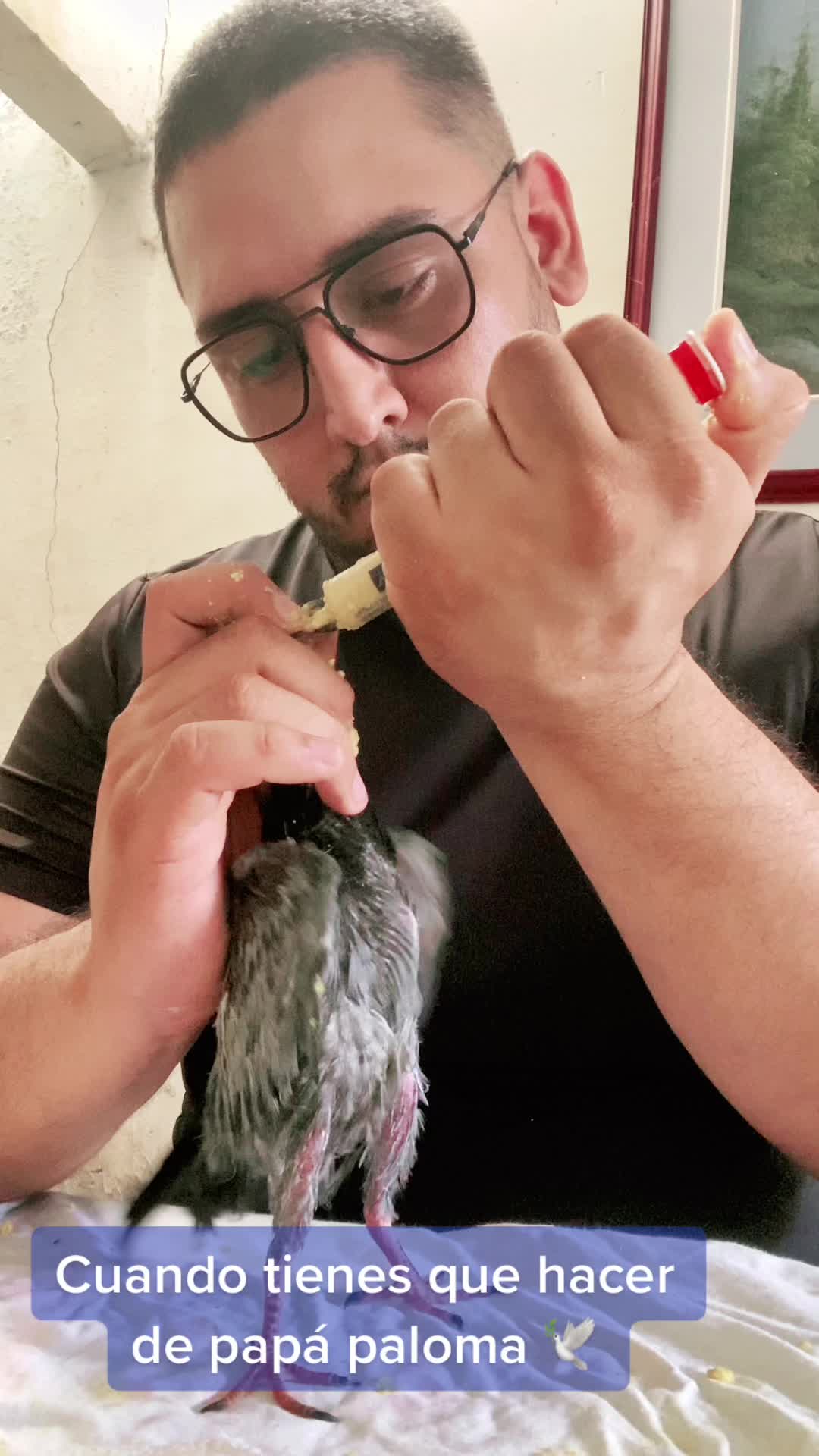 @LORDxESCANOR