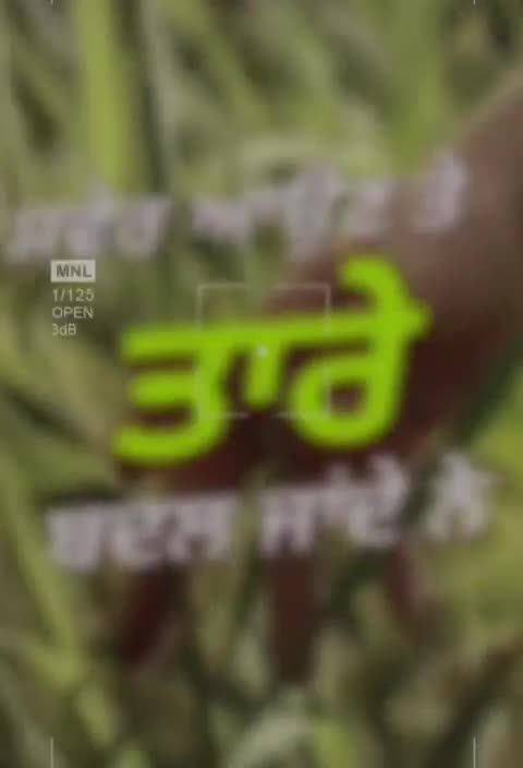 @ßrar