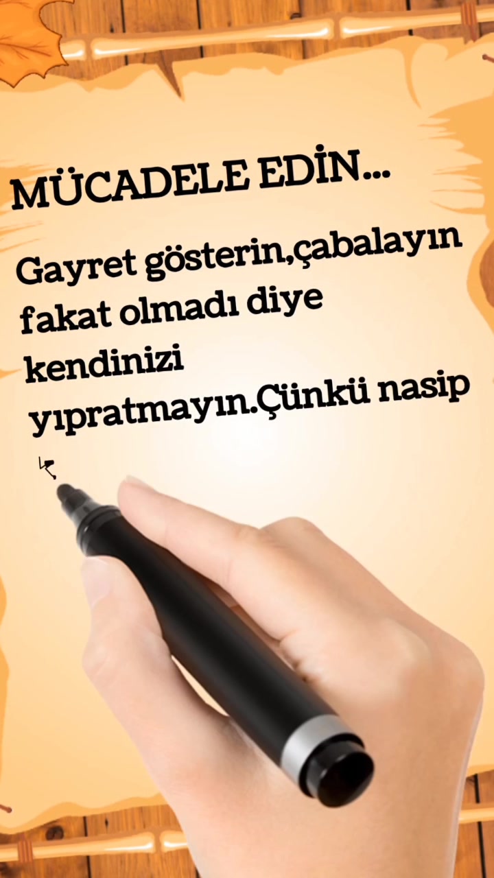 @kelebeğin d&uuml;nyası