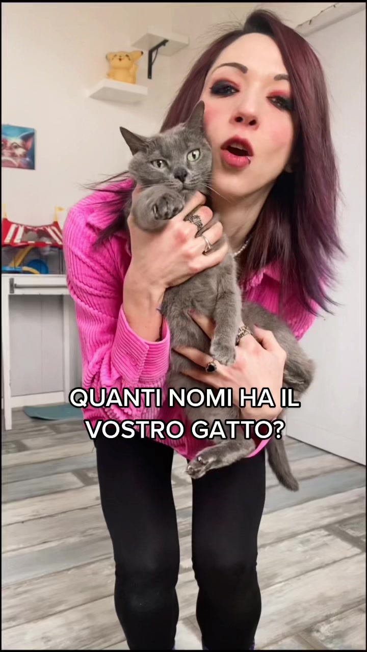 @DynamicFrankie