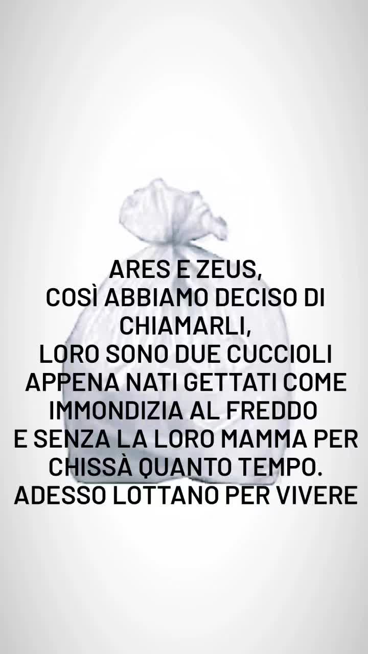 @Jessica Abbotto