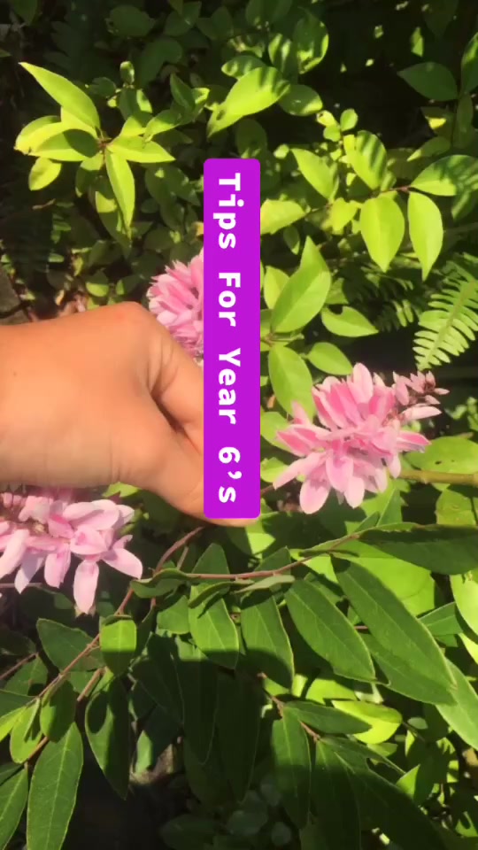 @Just Enjoy Life ๐