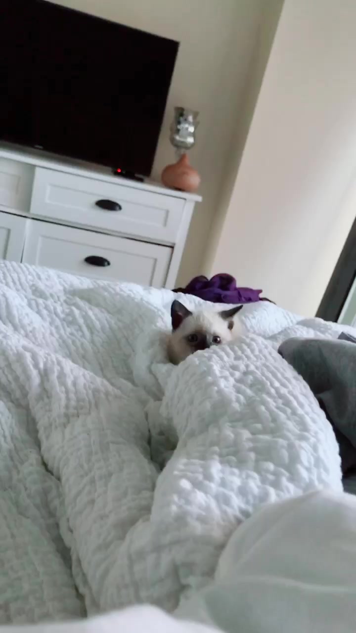 @tiffcourt