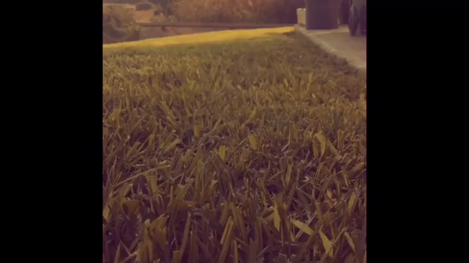 @☘️💫