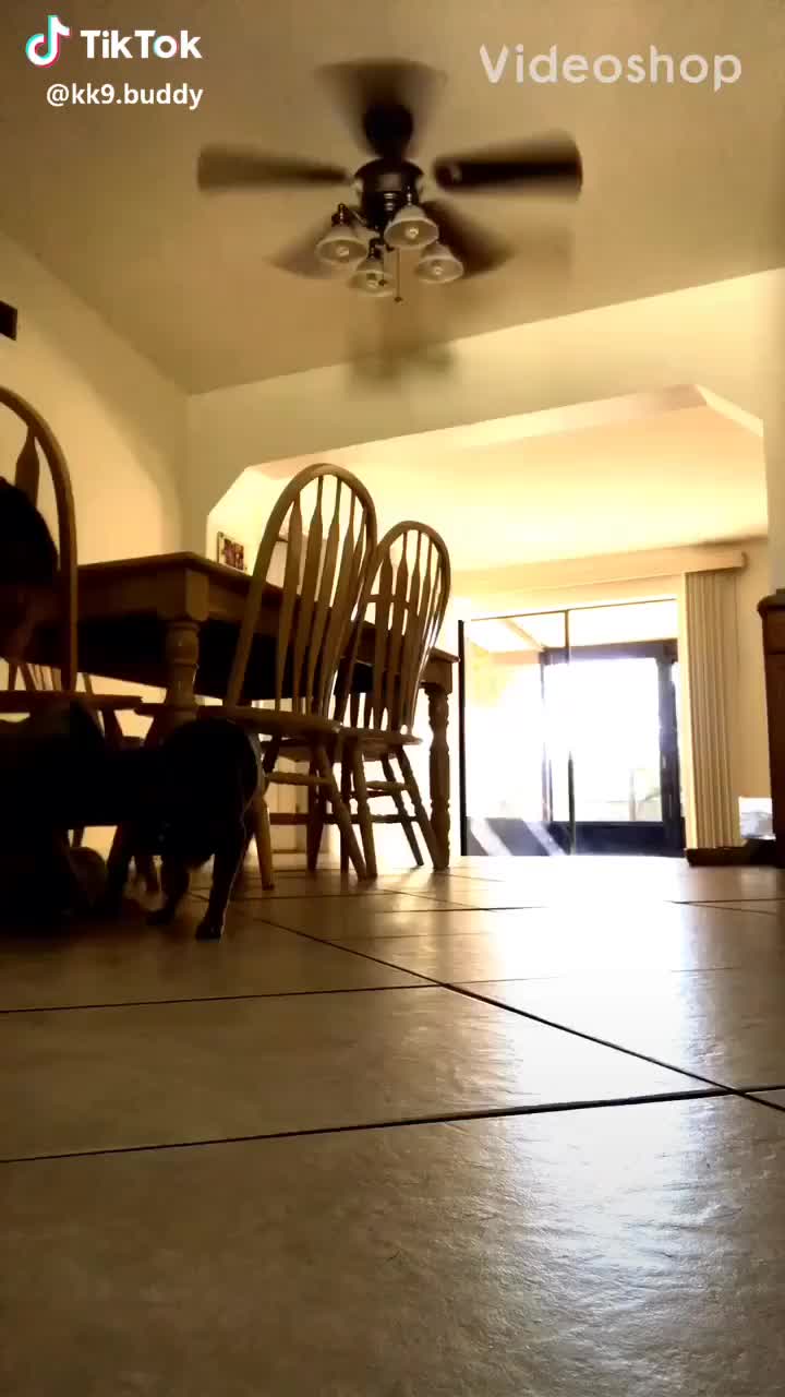 @↘️ FlOoF ↙️