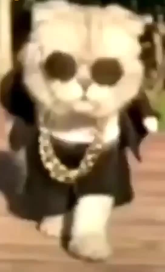 @tiktok