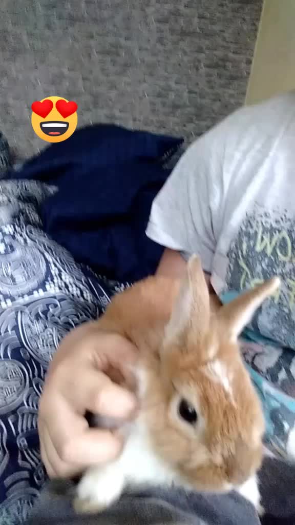 @Nicki_Hyper