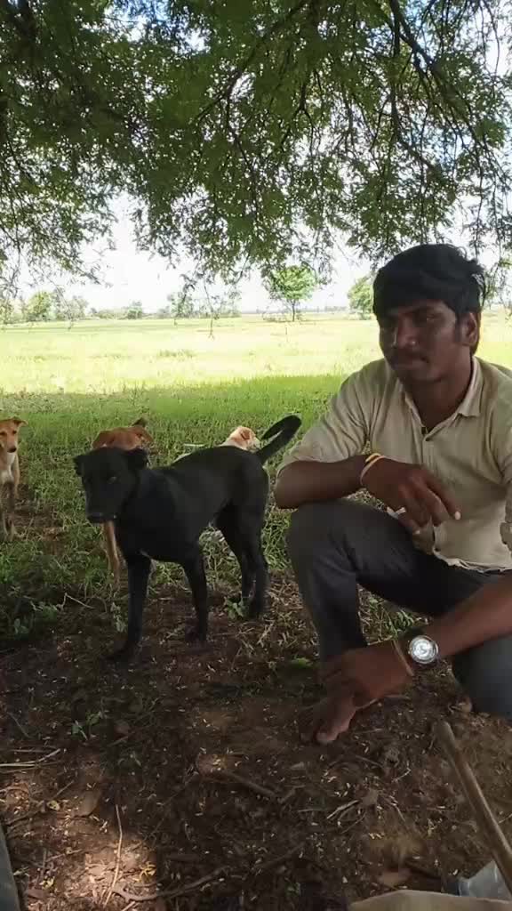 @prabujogi