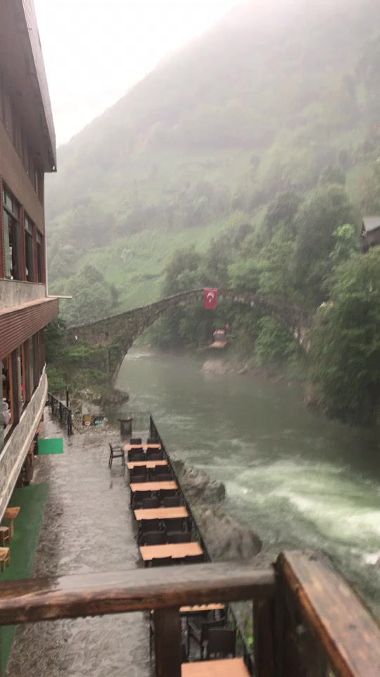 @Gülşen Tekeli