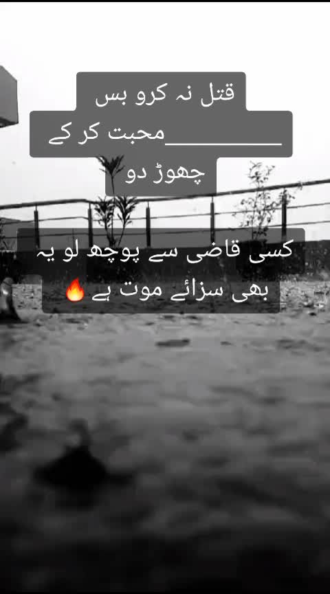 @Usman Malik Jhang❤️