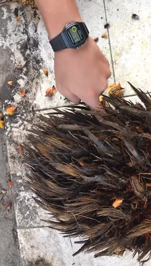 @maspraamm