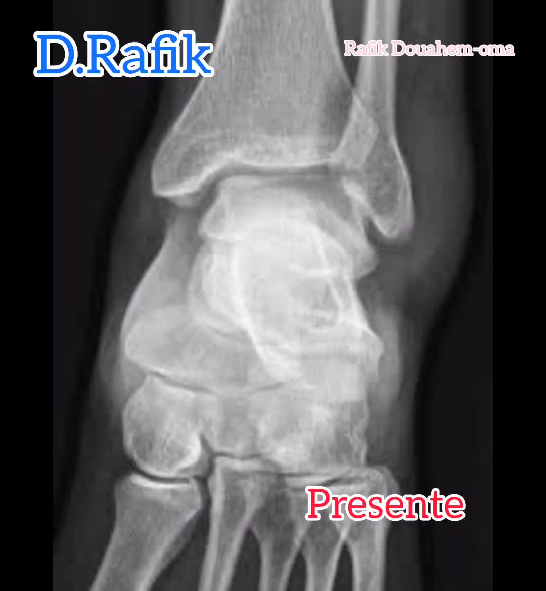 @D. Rafik رفيق دواهم