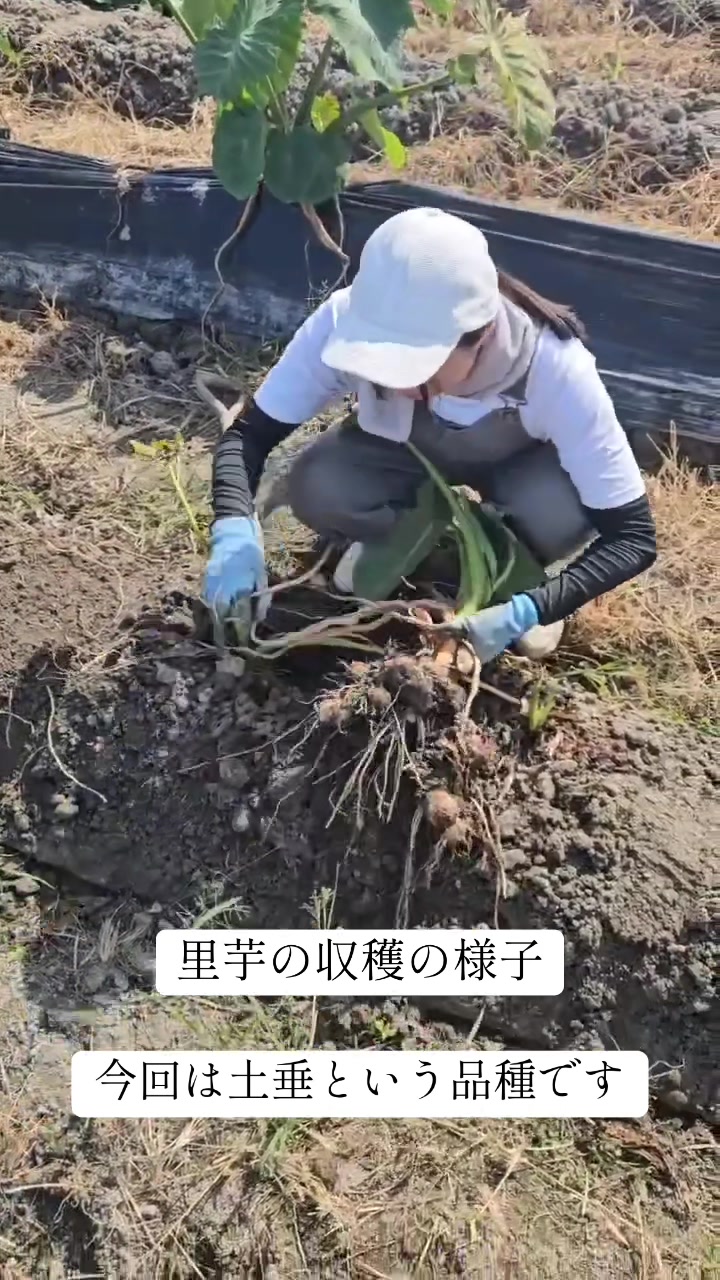 @channelMIKURIN
