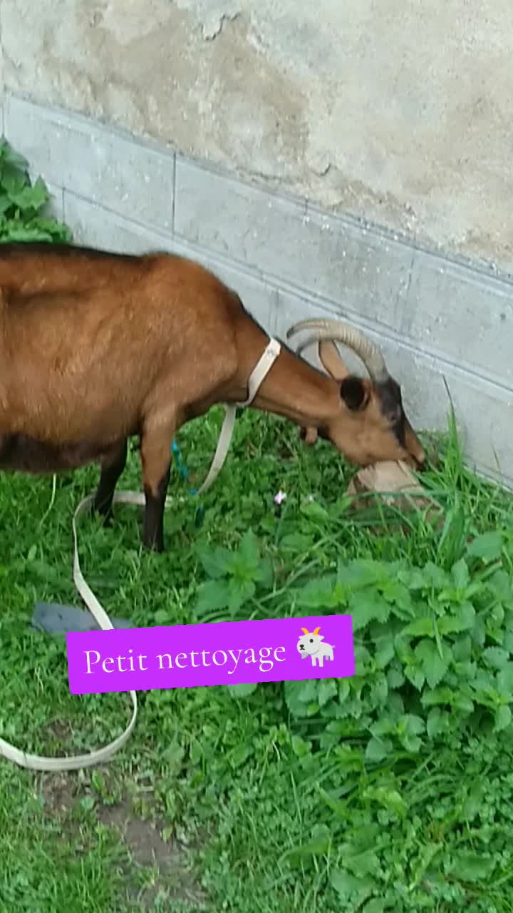 @association_apaa03