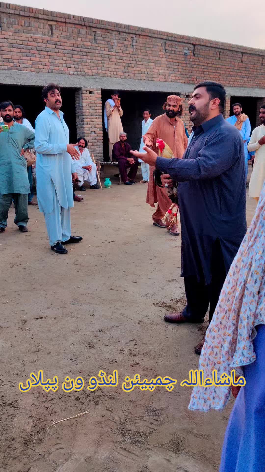 @ملک شبران اصیل گروپ 333 پپلاں