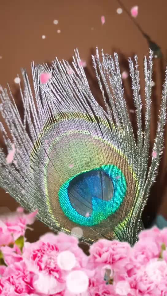 @Radhe Krishna