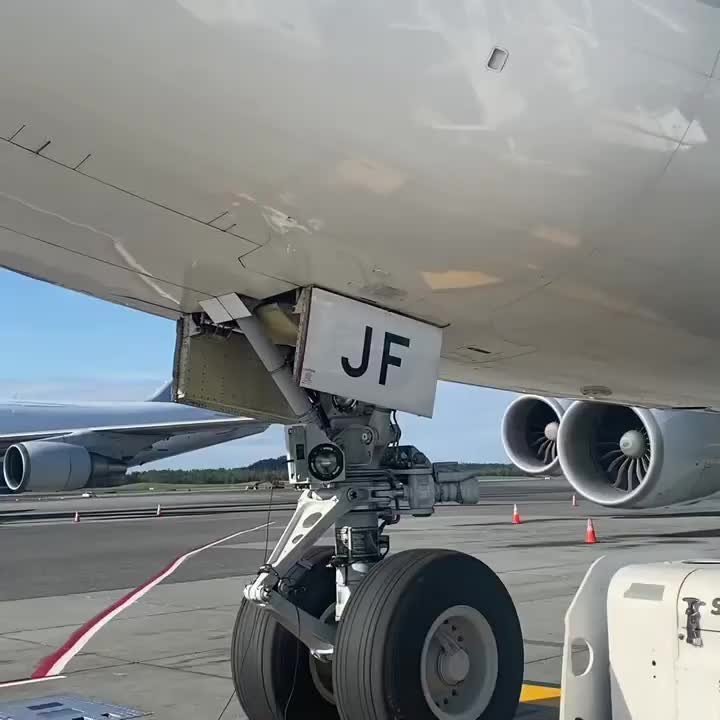 @Pilot of the world
