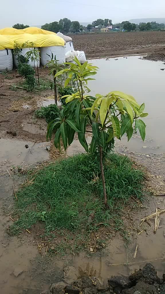 @Sopan Bochare
