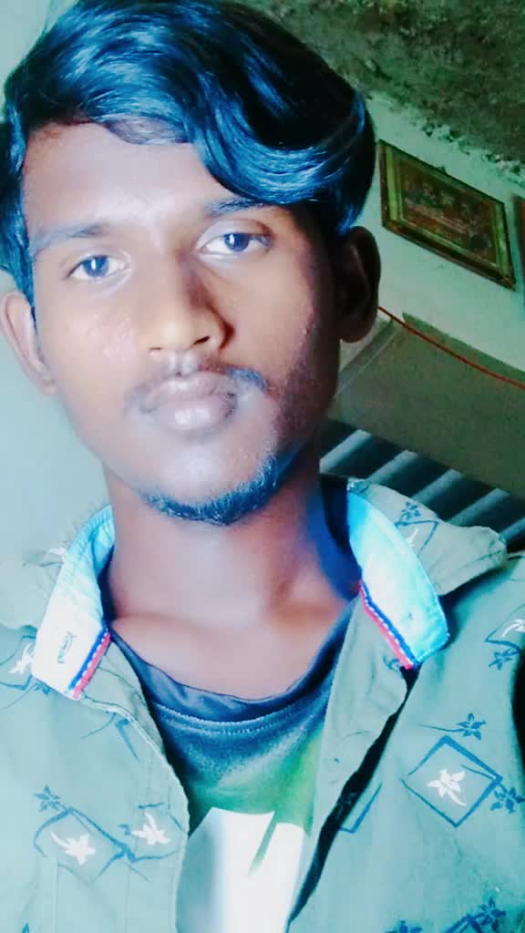 @bollepoguirmiya831