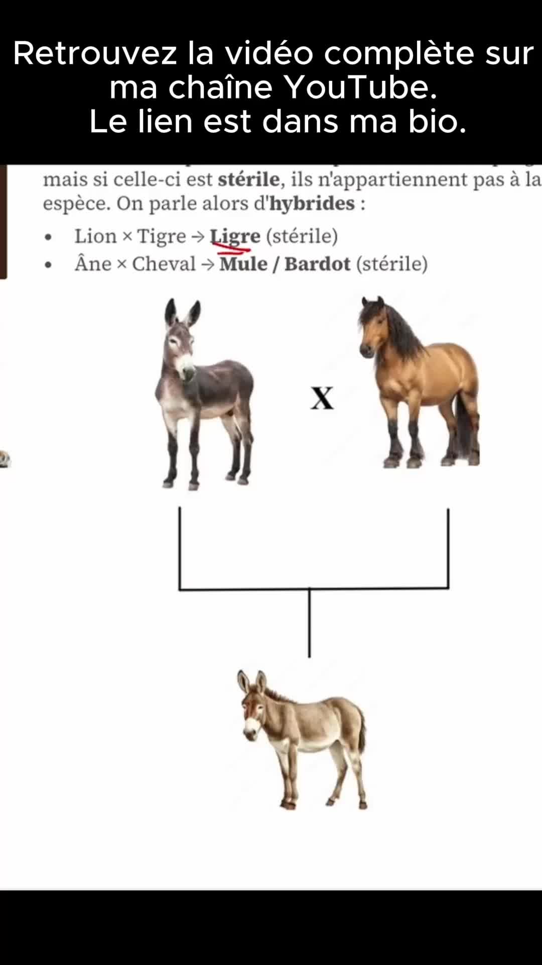 @NovaScienceClass