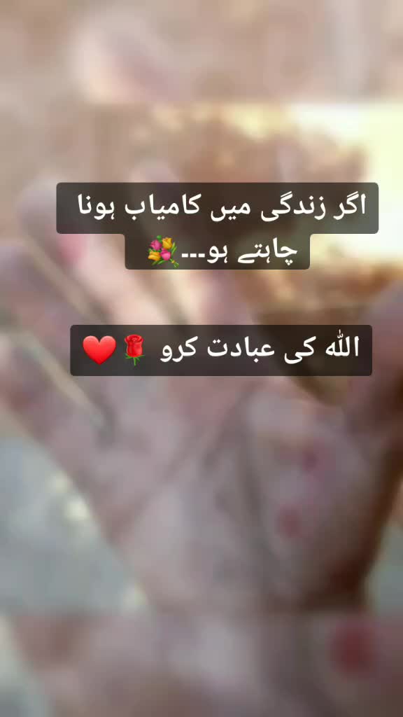 @شہروز حسن