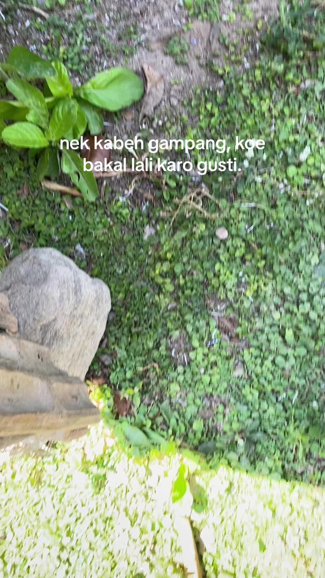 @zal