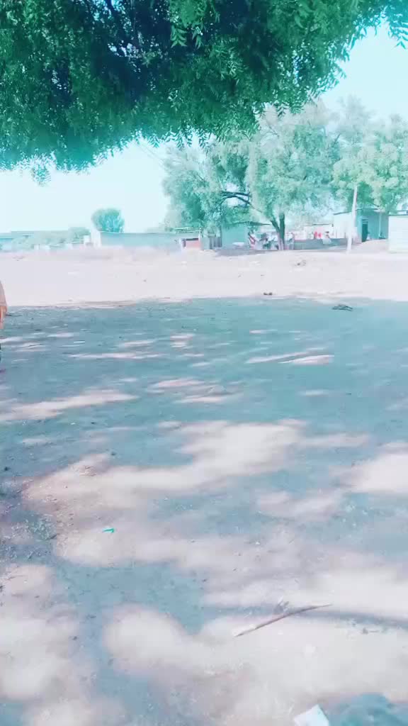 @rukhsar khan
