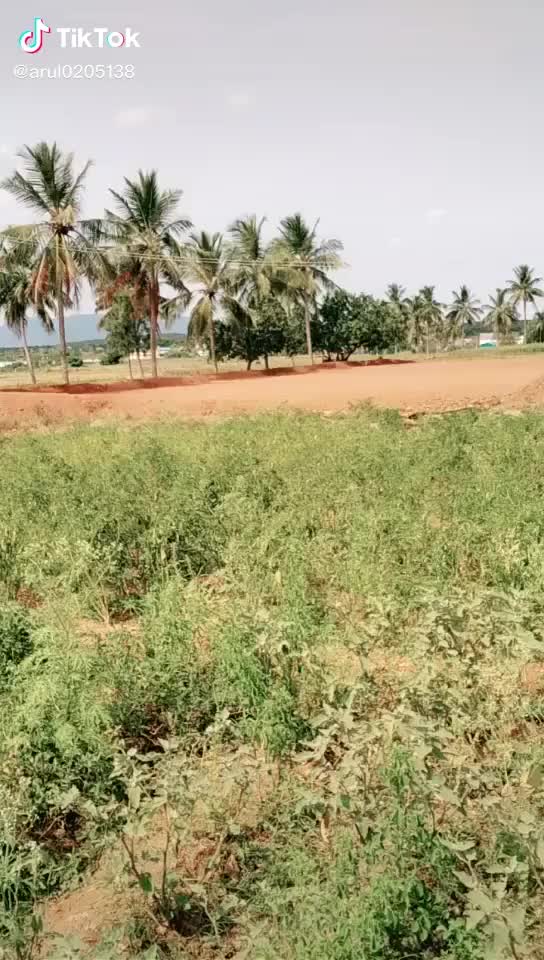 @Ratchagan Jcb