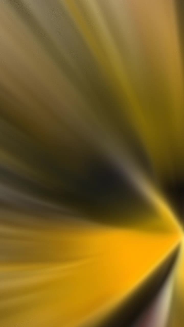 @🧡🦩ひかり🦩🧡