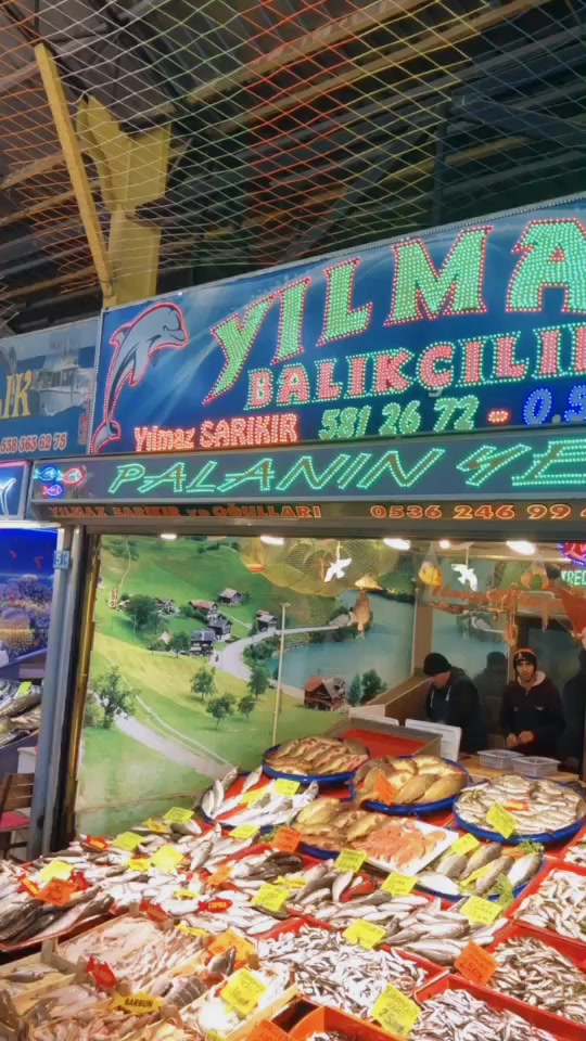 @Yılmaz Balıkçılık