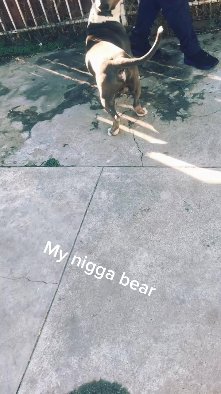 @HOTTDOLLA