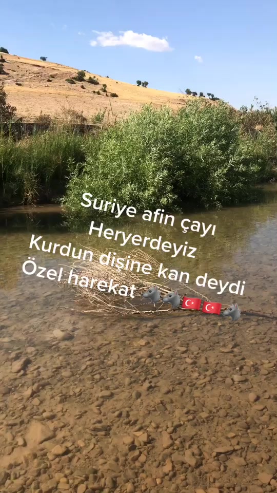 @MehmetAli Gamzemm❤️