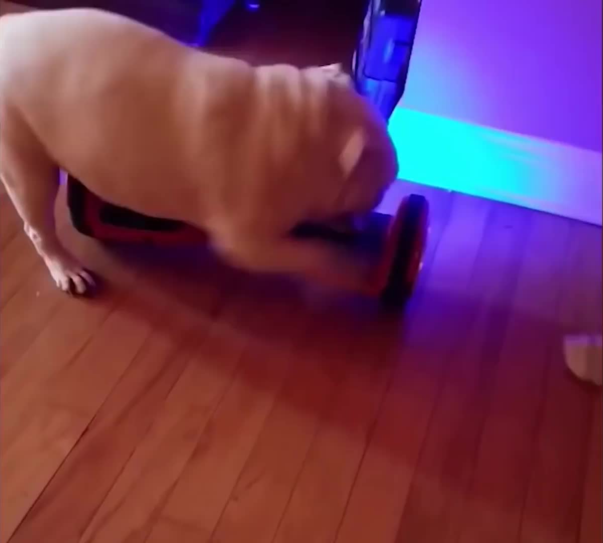 @Derpyoso