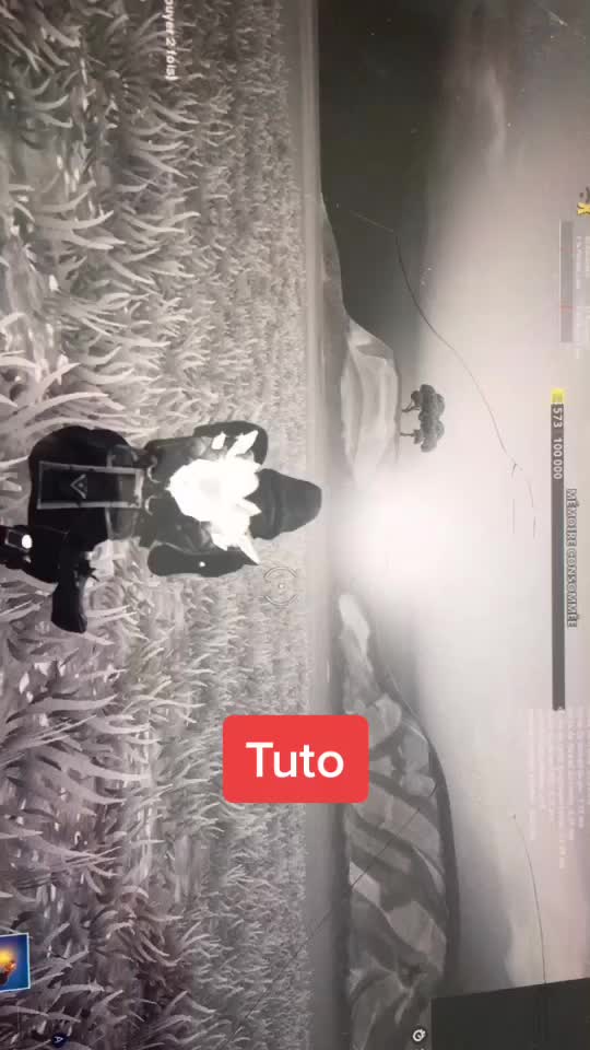 @kamel_lo