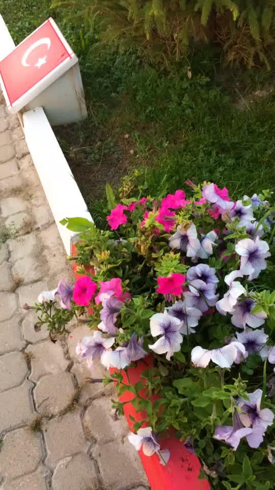 @Eminimgalibaaa
