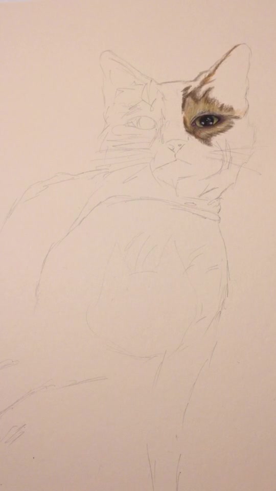 @SWinklerArt