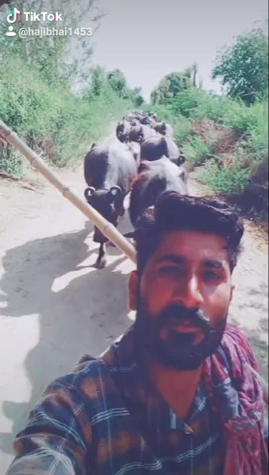 @HajiBhai malthari 🐴