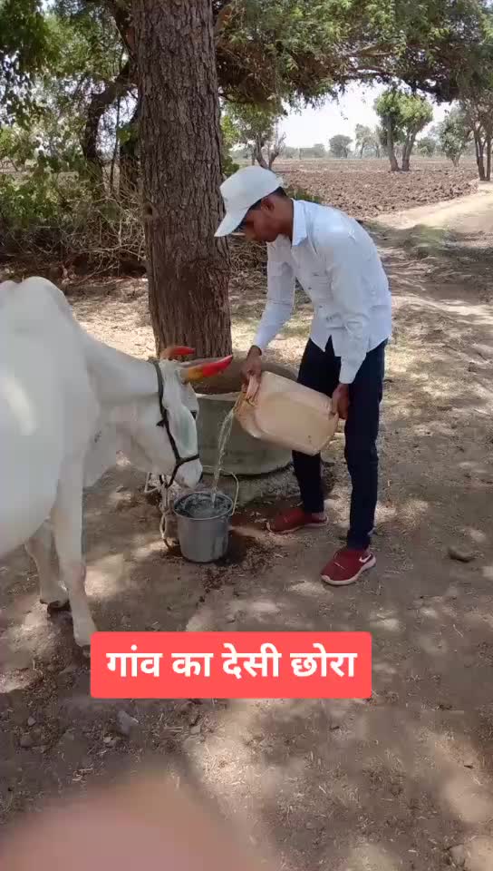 @Balmuknd Jat