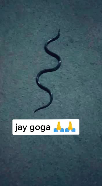 @Hardik Aal